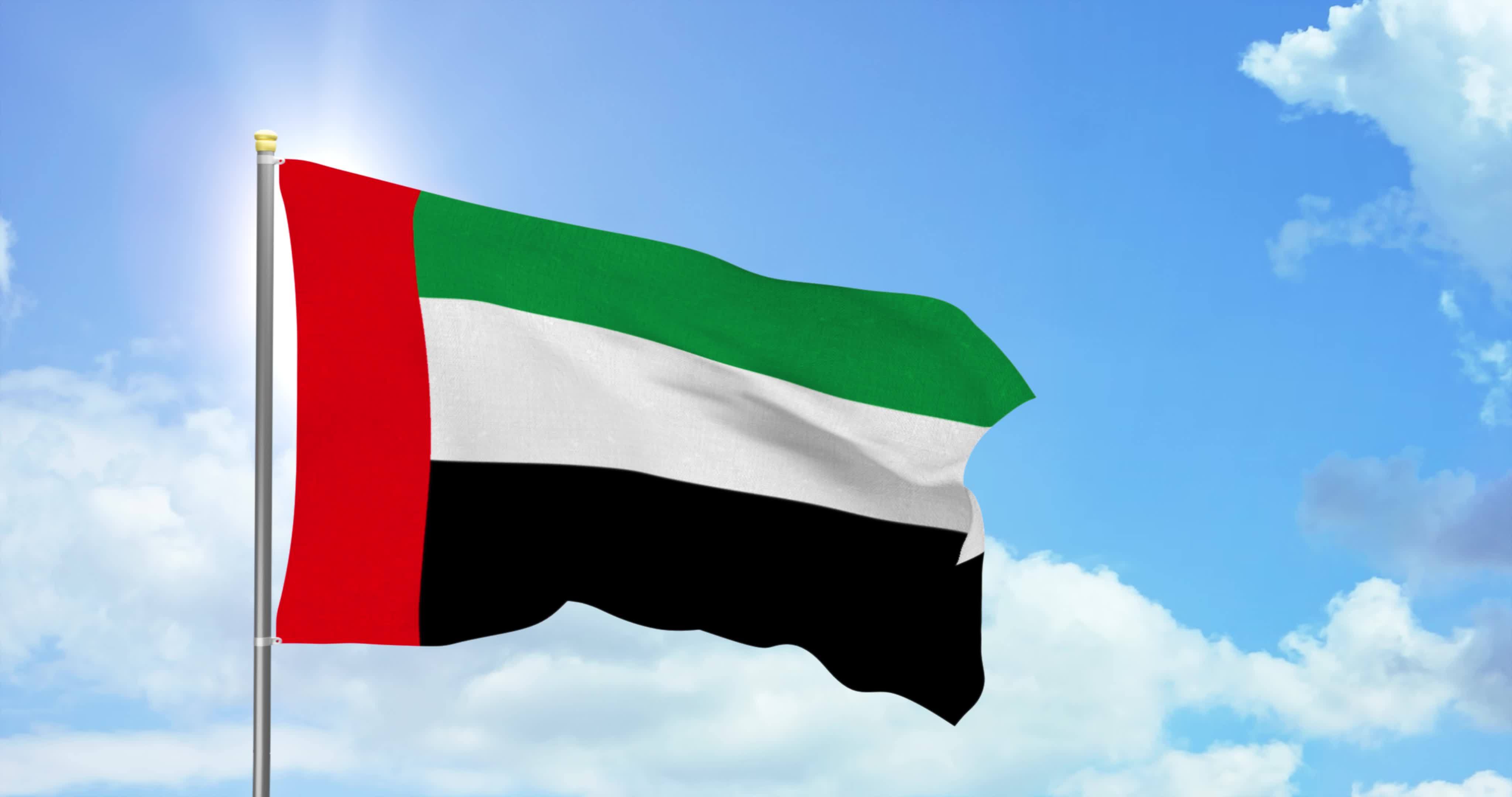 （TIKI FLAG）アラブ首長国連邦の国旗。サイズは90c - Home Decor Uae のレビューと価格