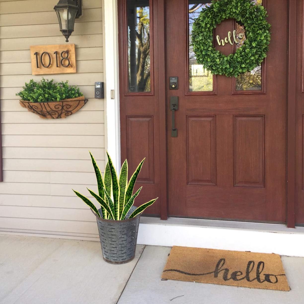 人工スネークフェイサビリア植物、屋内屋外ホームガーデンオフィ - Home Decor Store のレビューと価格